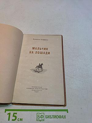 Мальчик на лошади