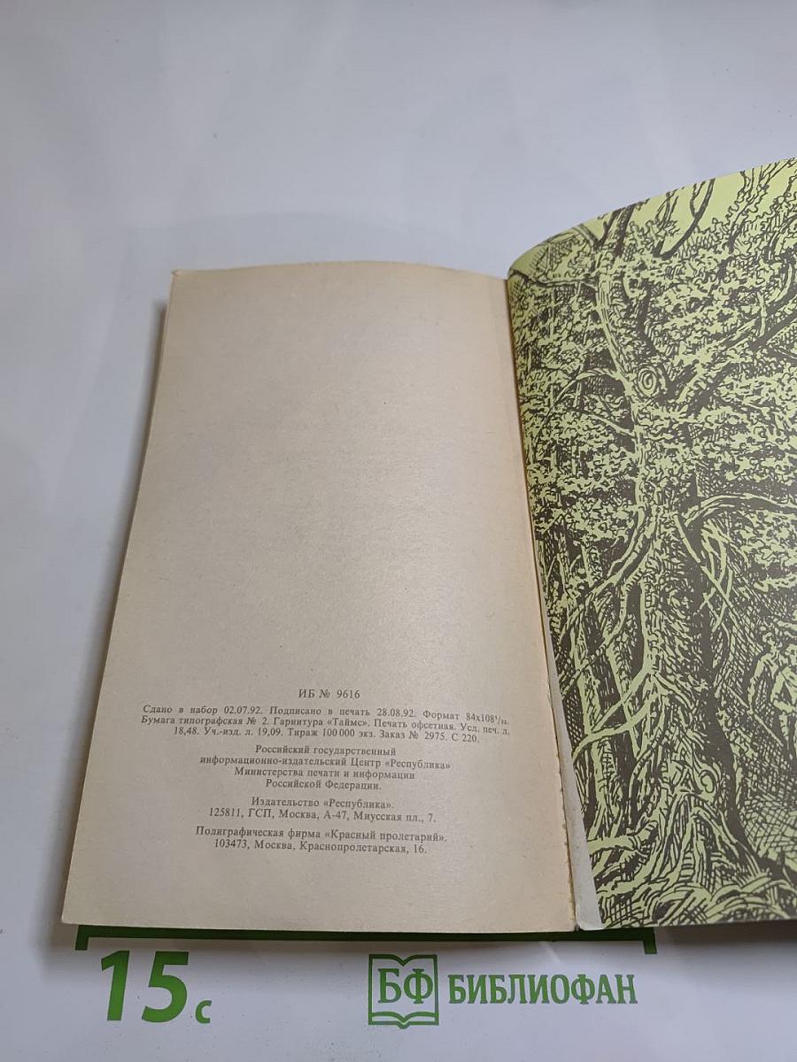 Пятнадцатилетний капитан