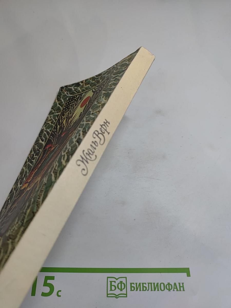 Пятнадцатилетний капитан