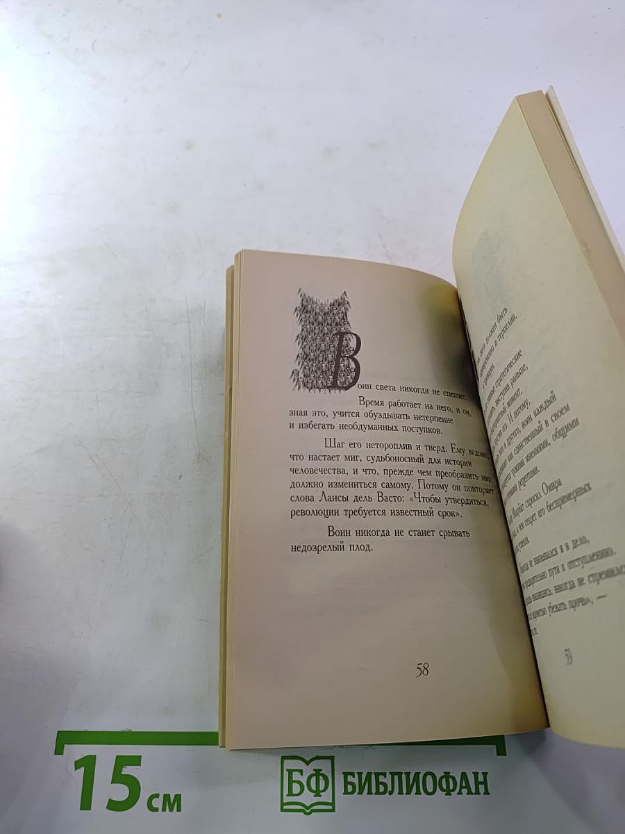 Книга воина света