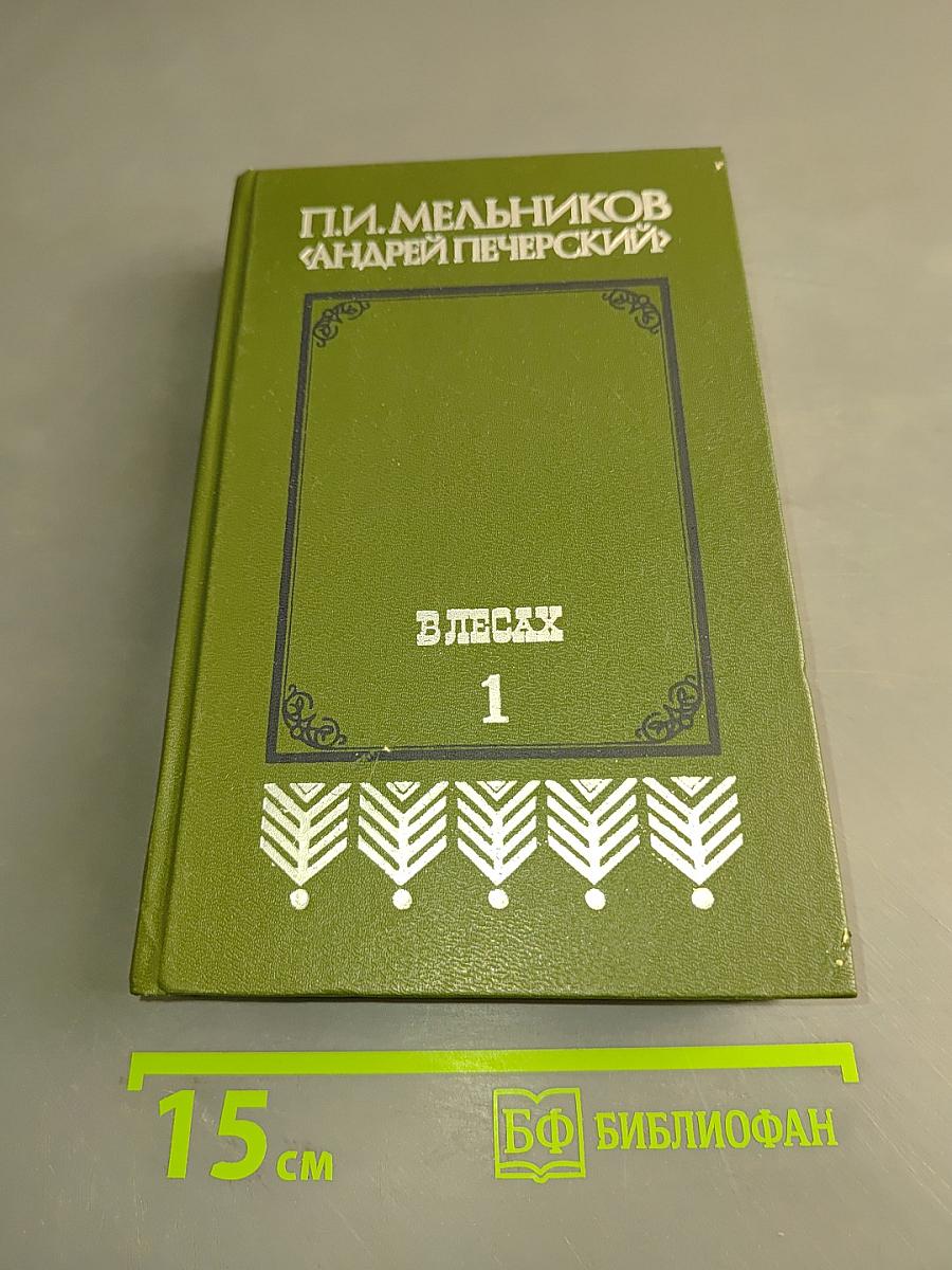 В лесах. Книга первая