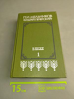 В лесах. Книга первая