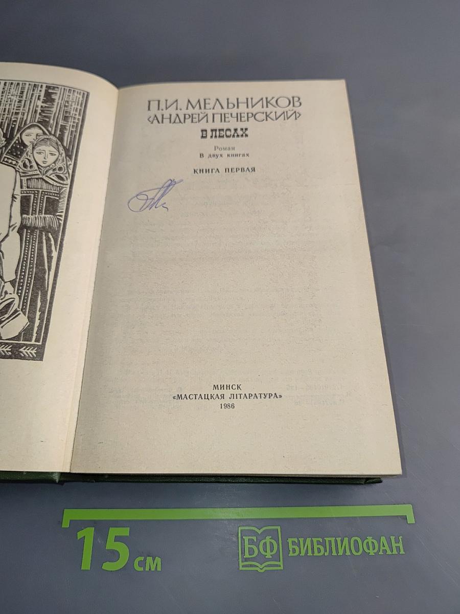 В лесах. Книга первая
