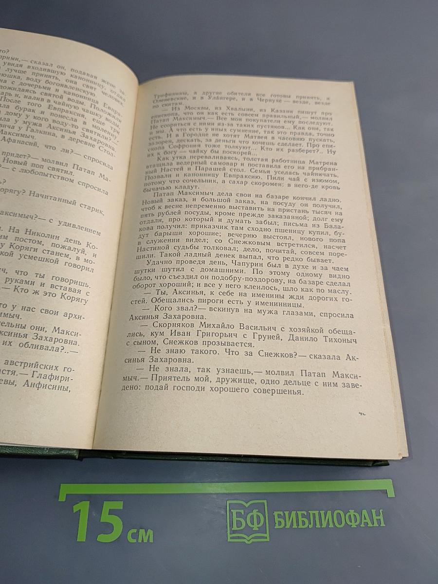 В лесах. Книга первая