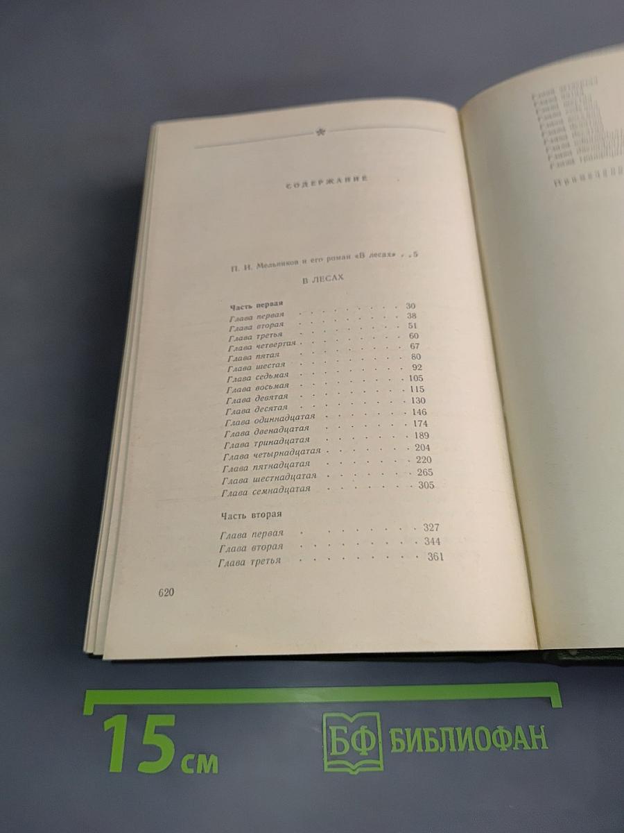 В лесах. Книга первая