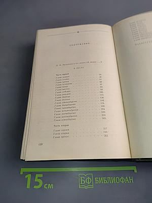 В лесах. Книга первая