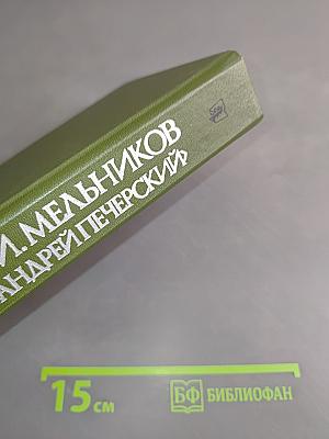 В лесах. Книга первая