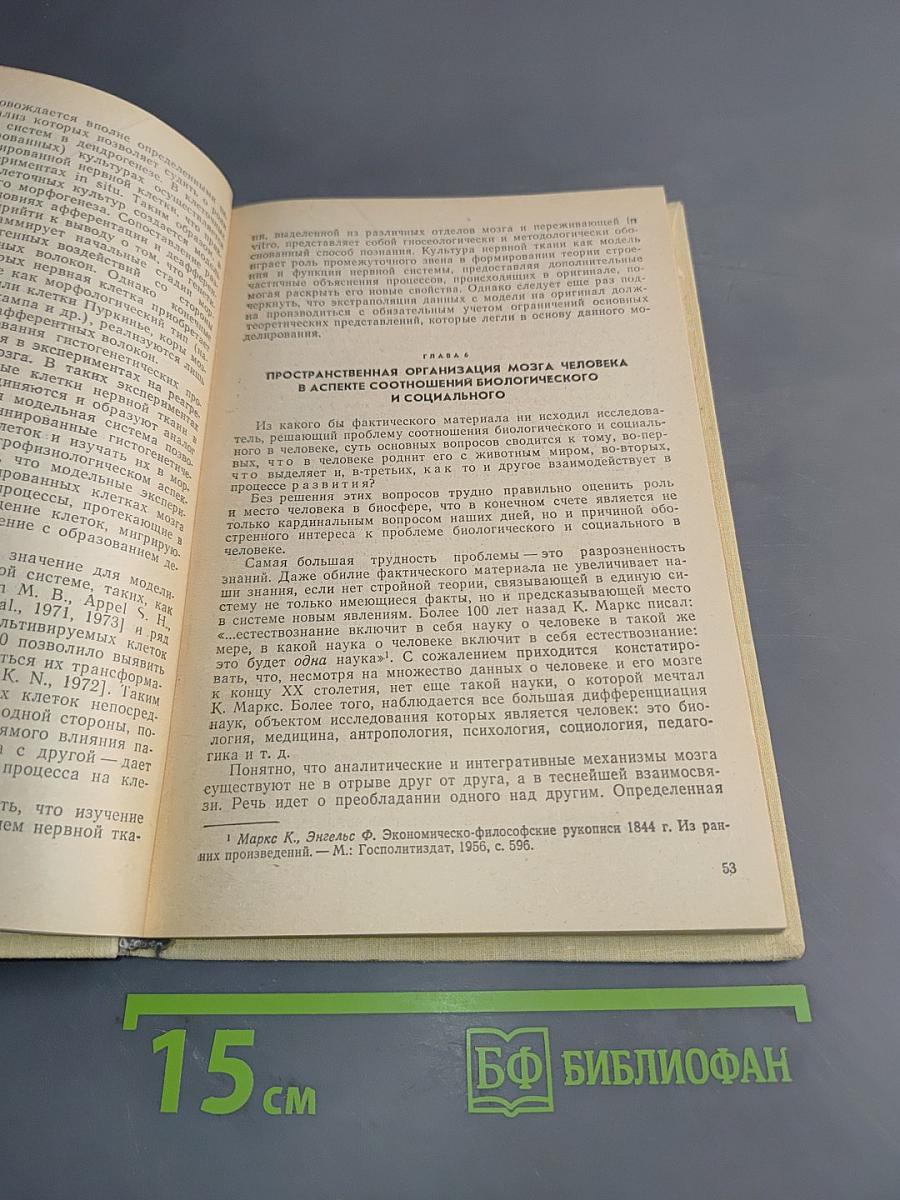 Методологические аспекты науки о мозге