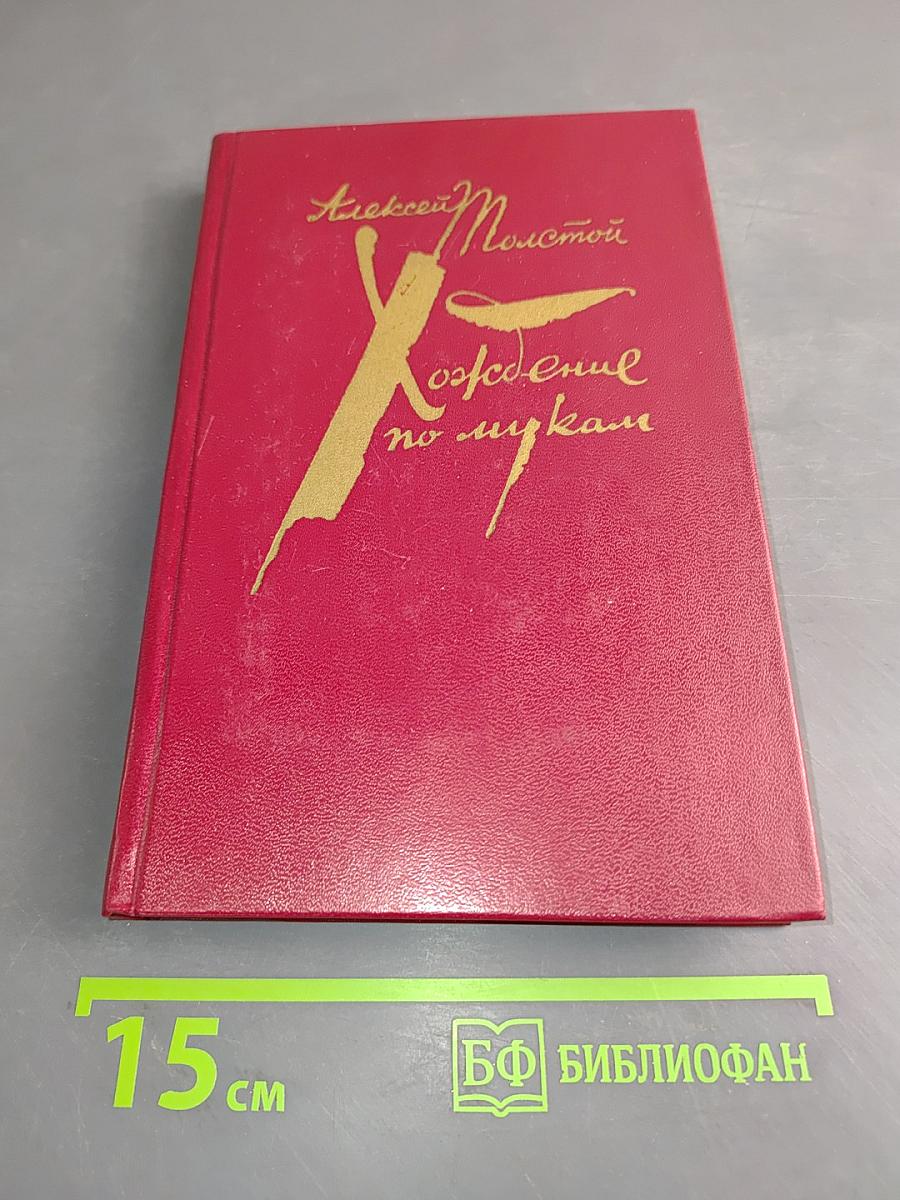 Хождение по мукам. Книга третья. Хмурое утро