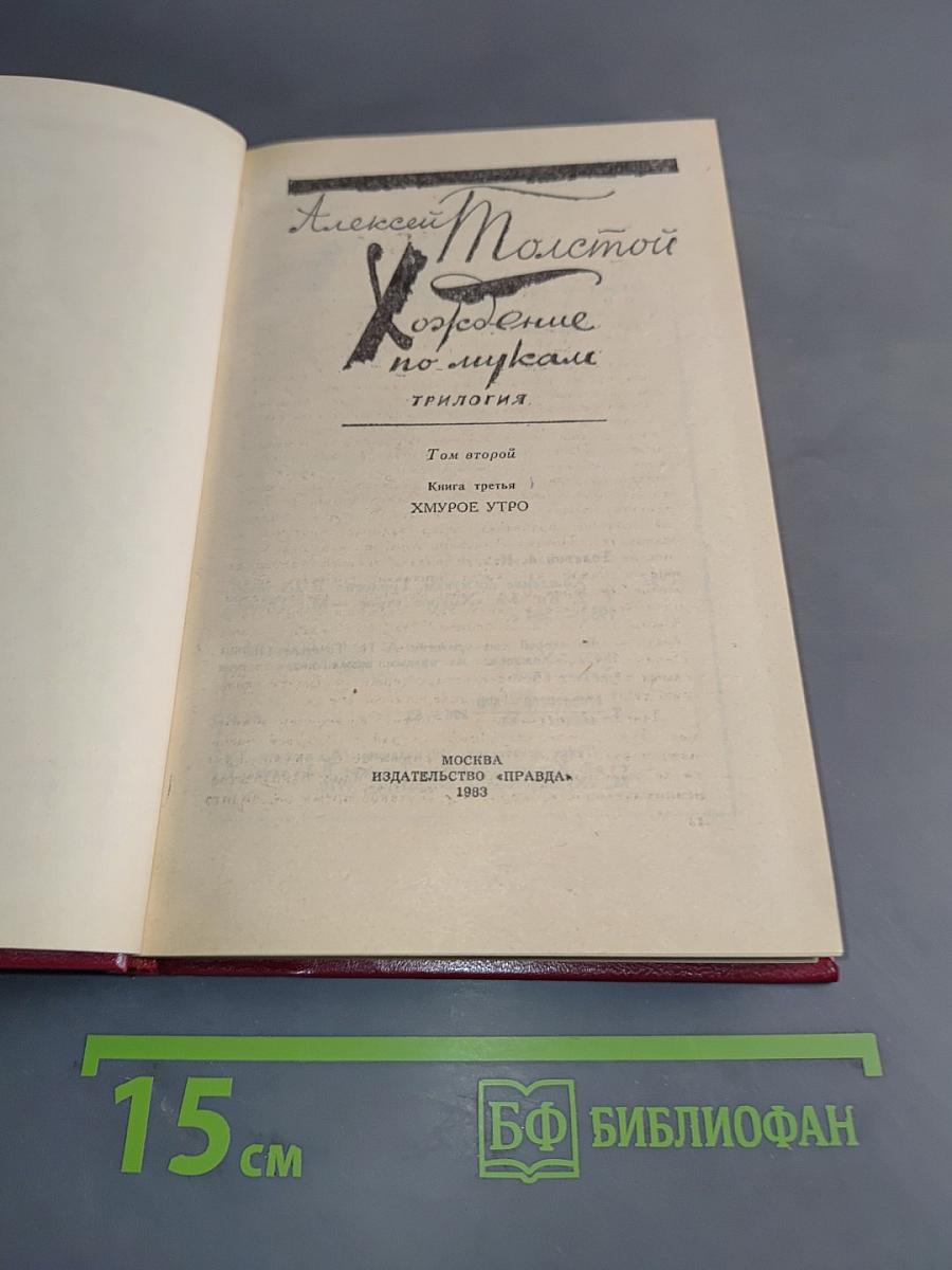 Хождение по мукам. Книга третья. Хмурое утро