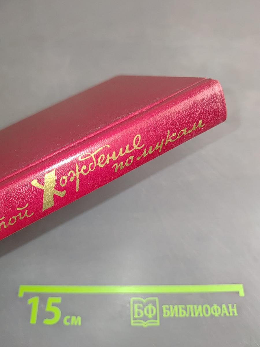 Хождение по мукам. Книга третья. Хмурое утро