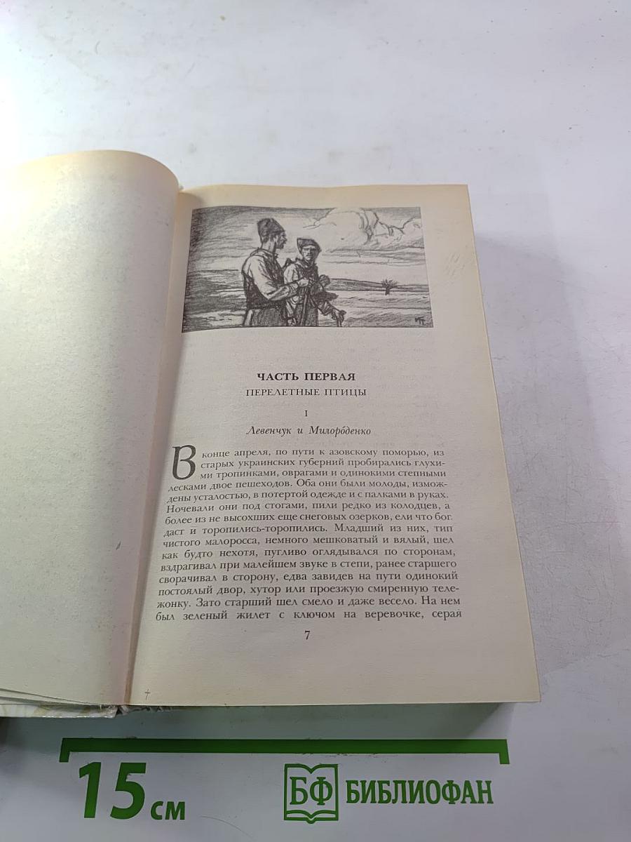 Беглые в Новороссии. Воля. Княжна Тараканова