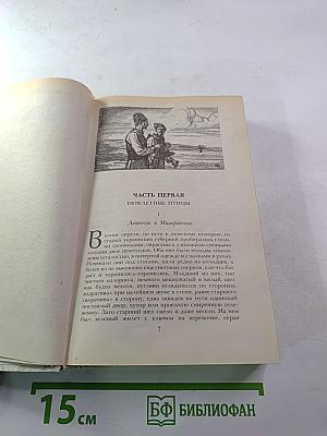 Беглые в Новороссии. Воля. Княжна Тараканова