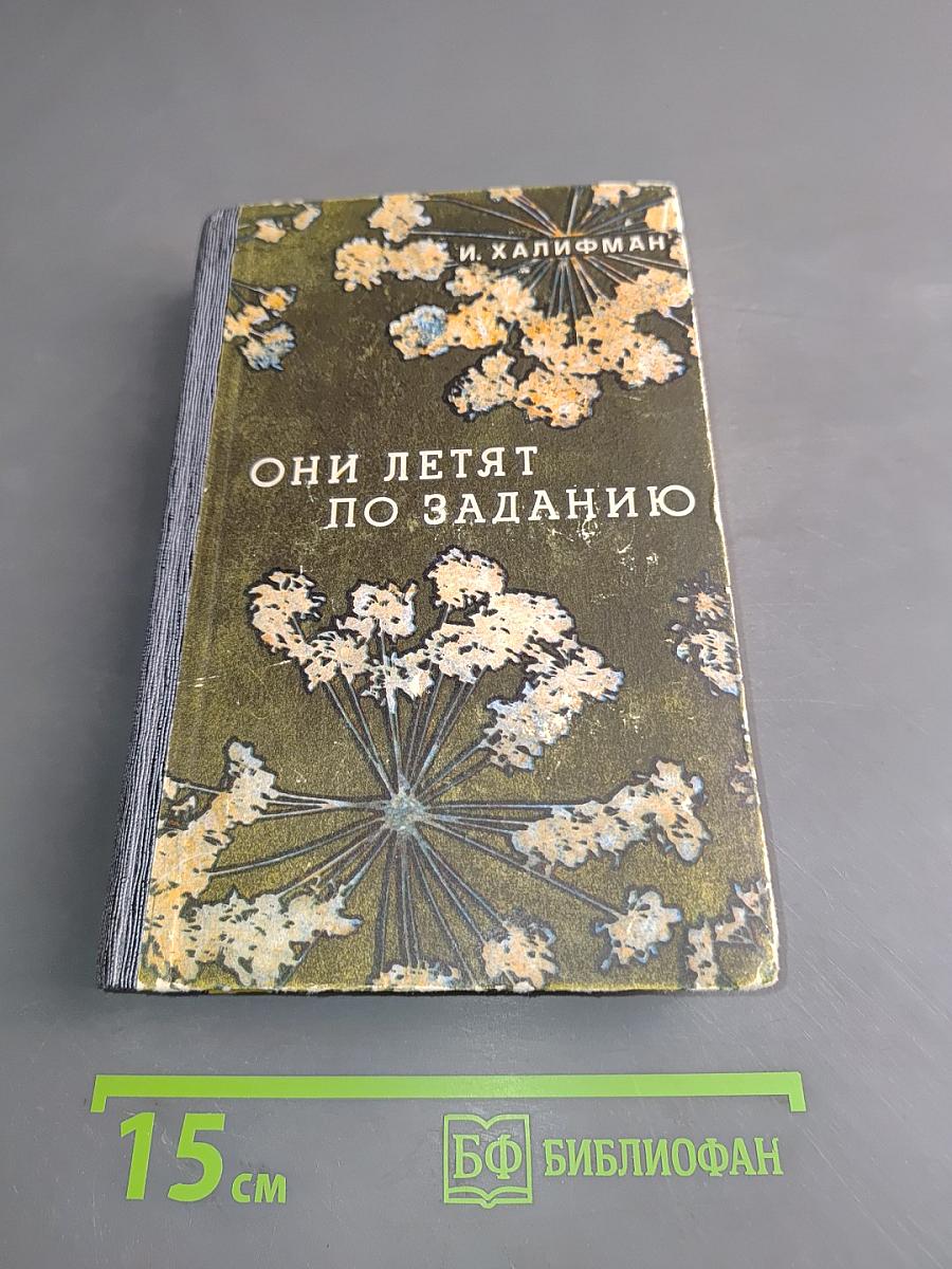 Они летят по заданию