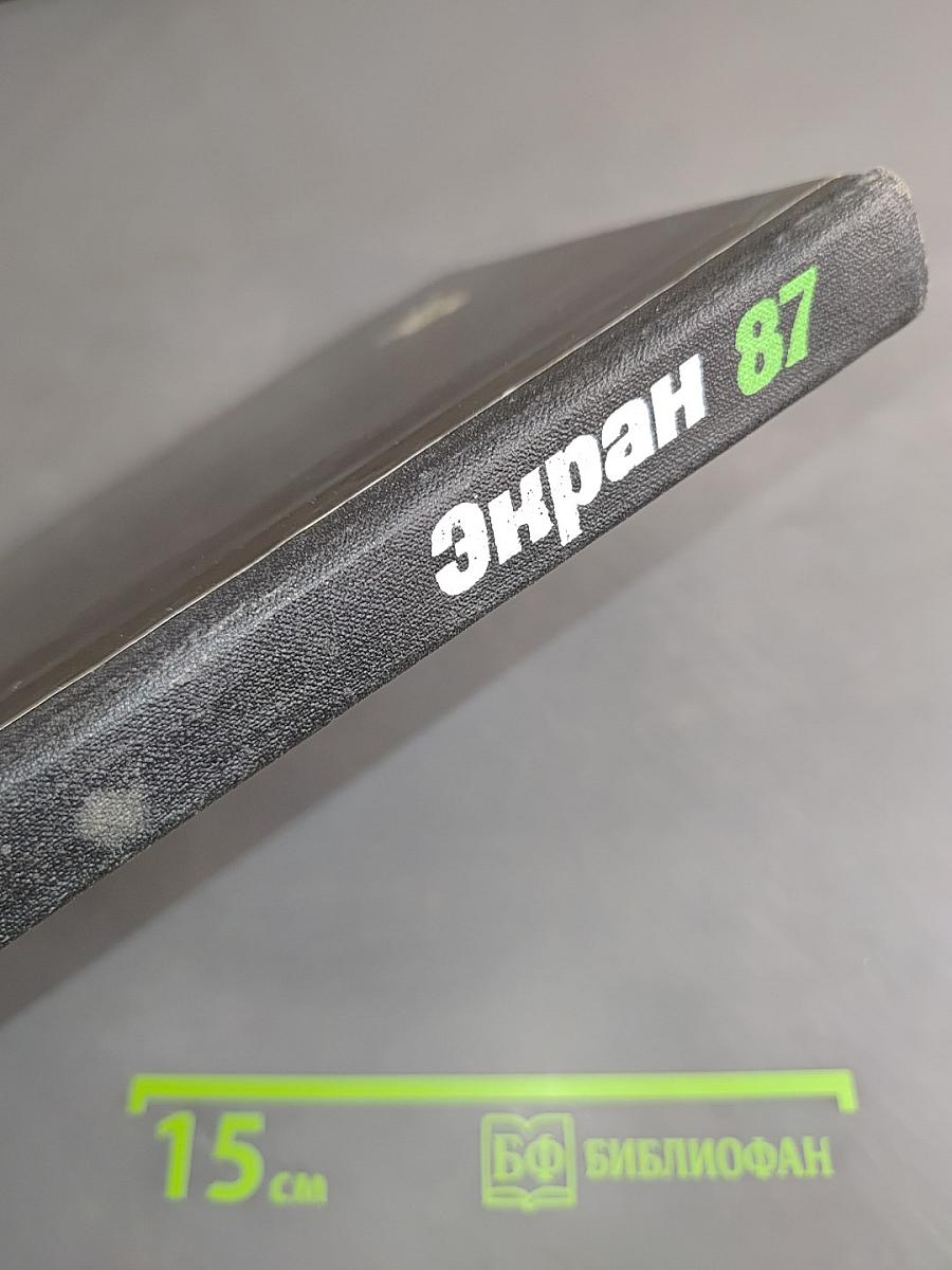 Экран 87
