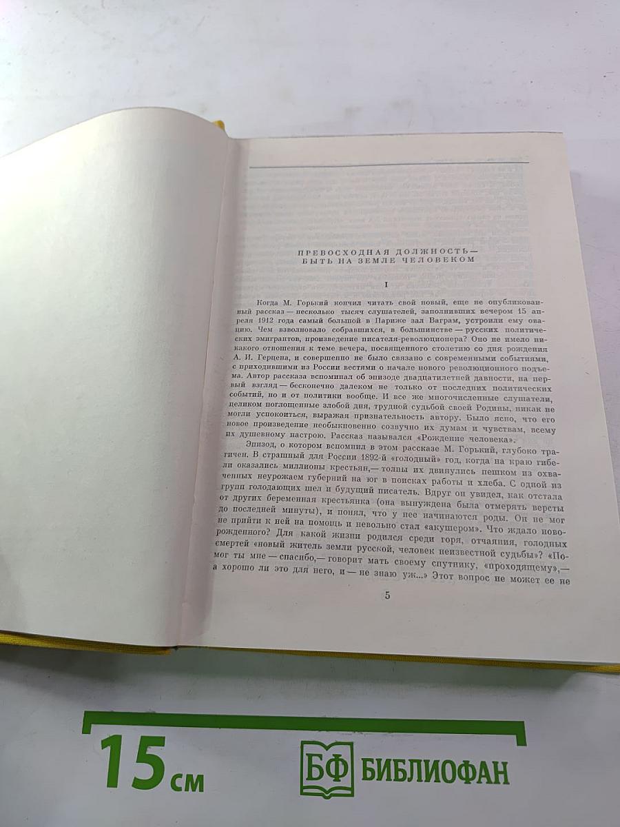 По Руси. Дело Артамоновых