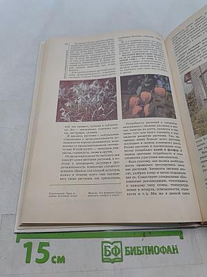 Сад. Огород. Усадьба. Энциклопедия для начинающих