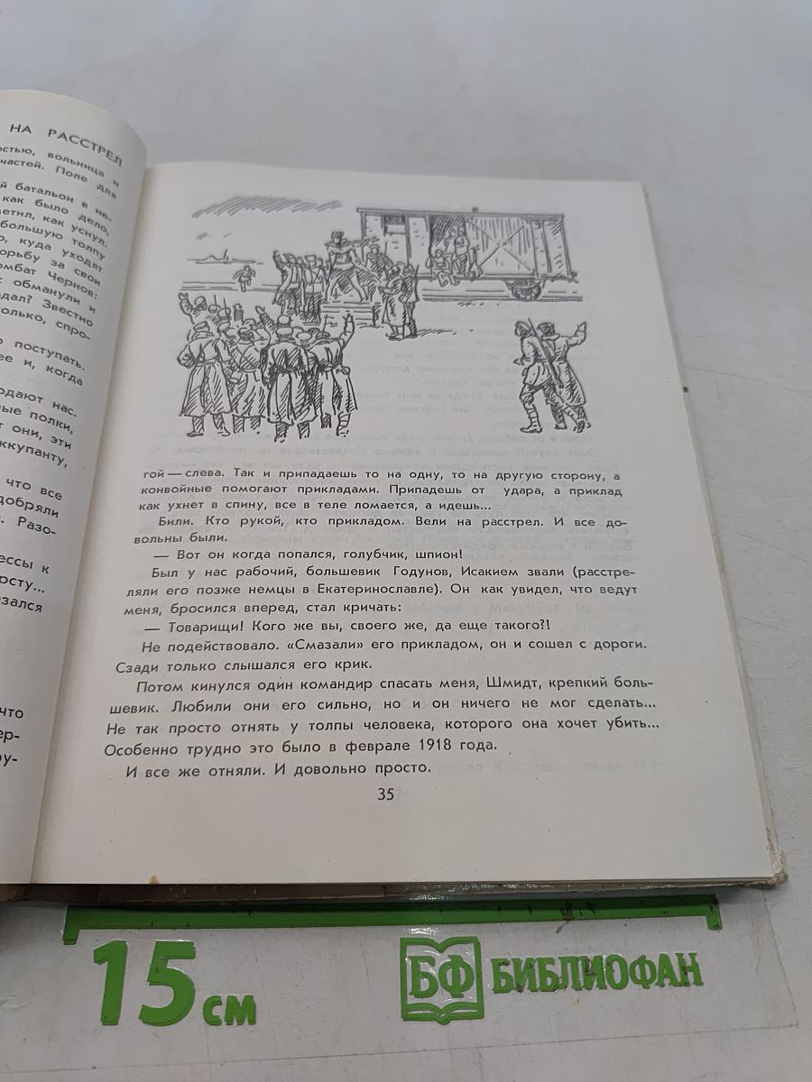 Как сражалась революция. Рассказы участников гражданской войны