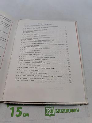 Как сражалась революция. Рассказы участников гражданской войны