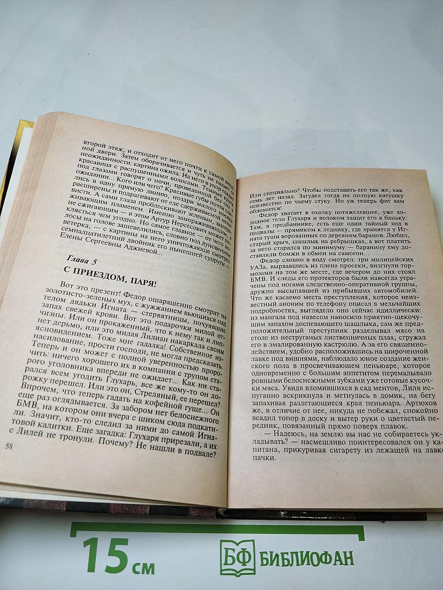 Возвращение Стреляного