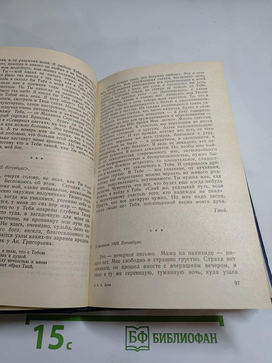 Я лучшей доли не искал... Судьба Александра Блока в письмах, дневниках, воспоминаниях