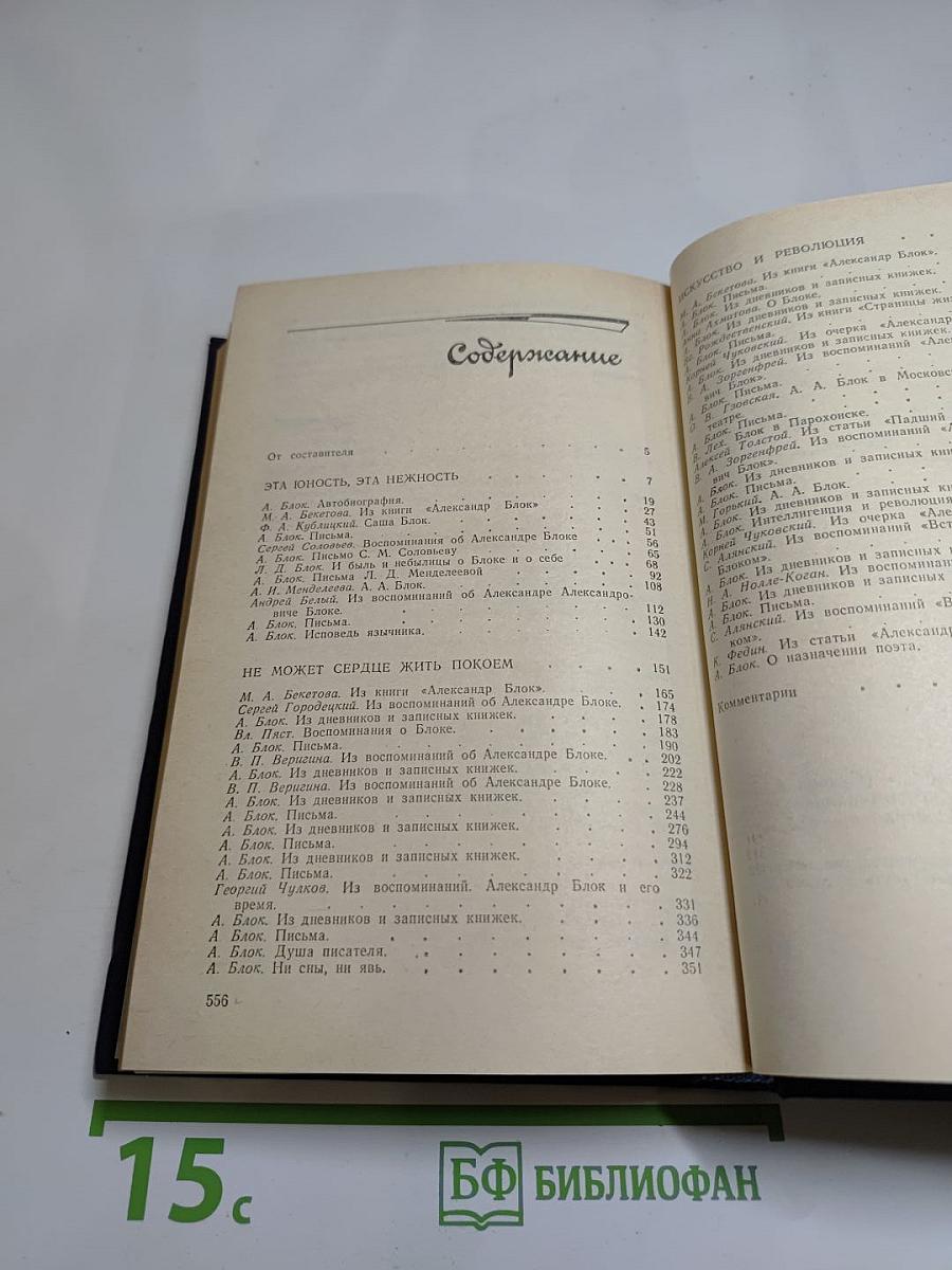 Я лучшей доли не искал... Судьба Александра Блока в письмах, дневниках, воспоминаниях