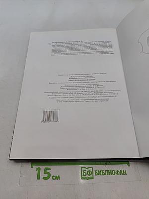 Город над Большой Невой