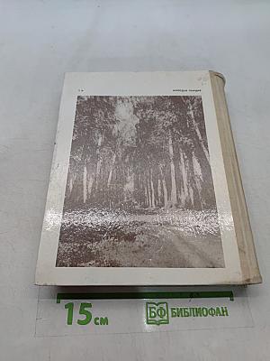 Прометей