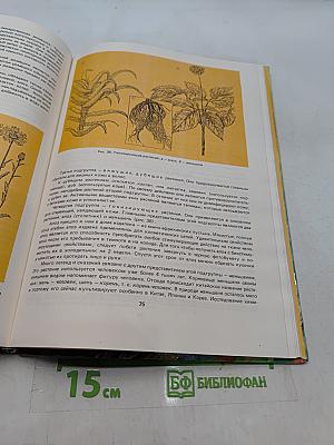 Красота, здоровье и обаяние женщины