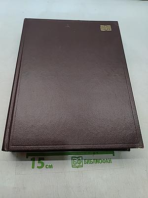 Большой итальяно-русский словарь