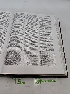 Большой итальяно-русский словарь
