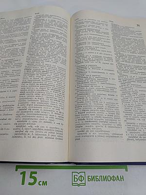 Большой польско-русский словарь