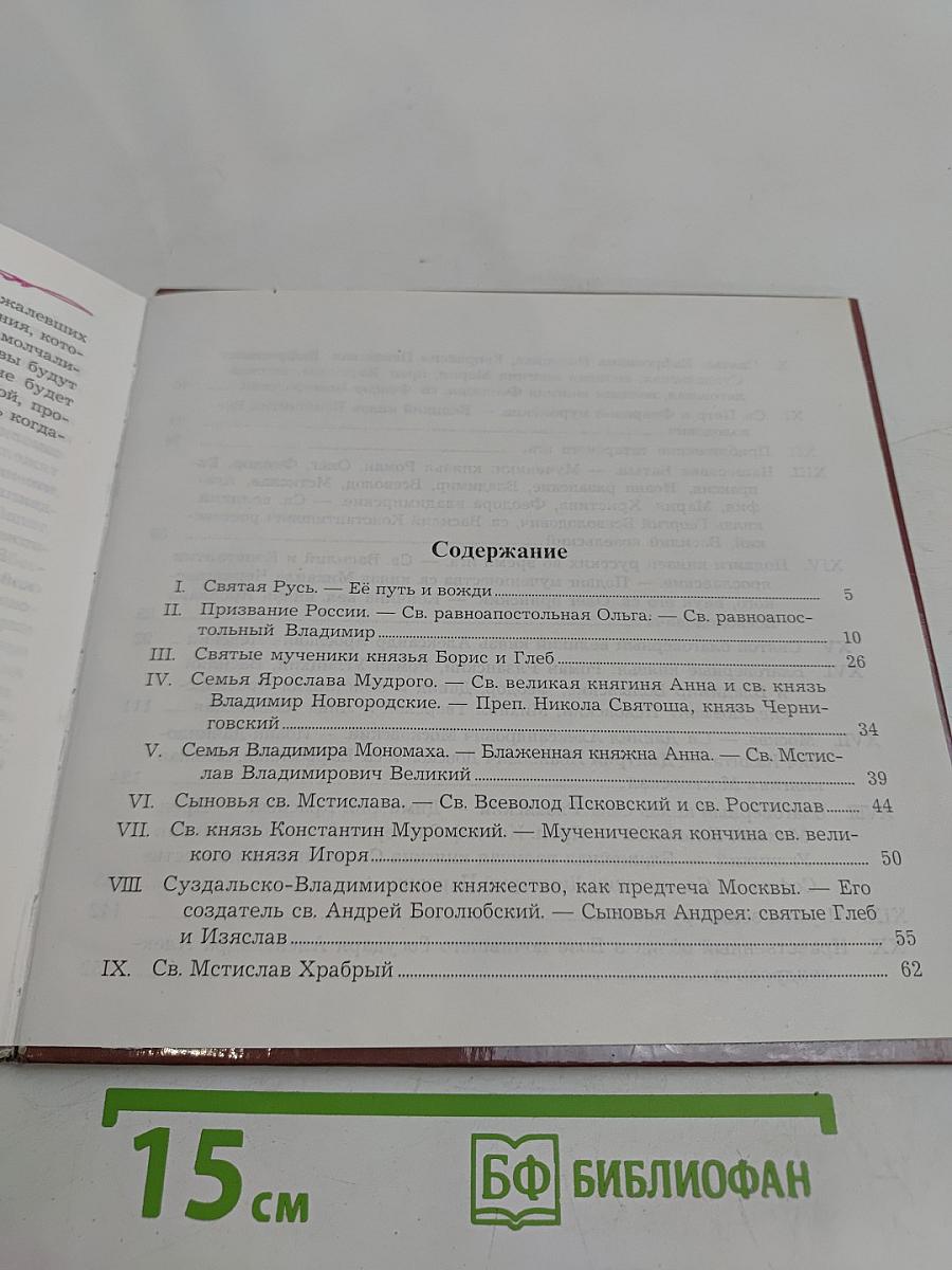 Святые вожди земли Русской