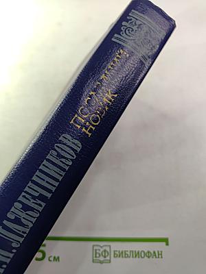 Последний Новик