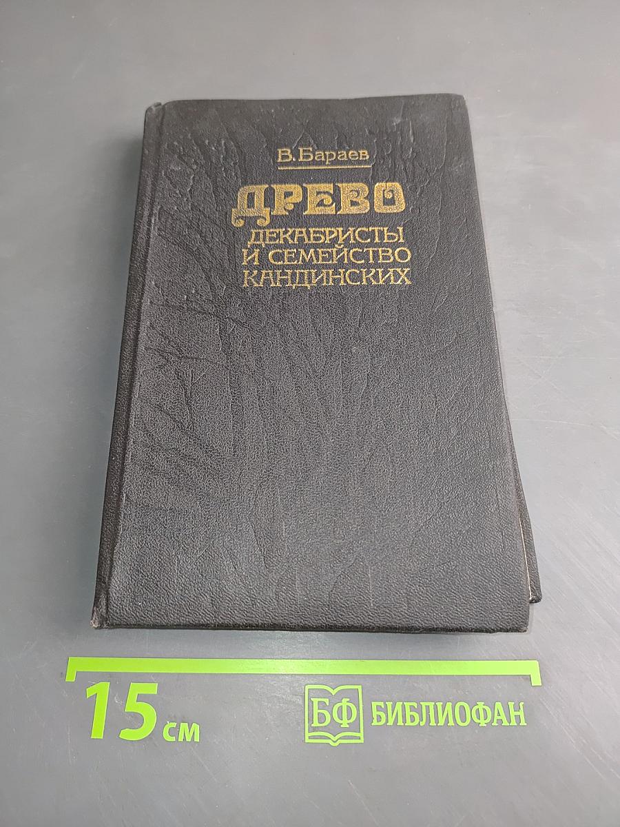 Древо: декабристы и семейство Кандыинских