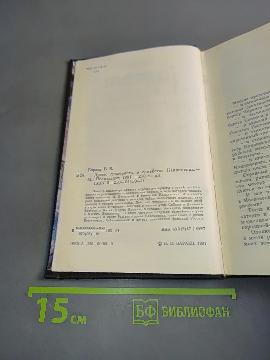 Древо: декабристы и семейство Кандыинских