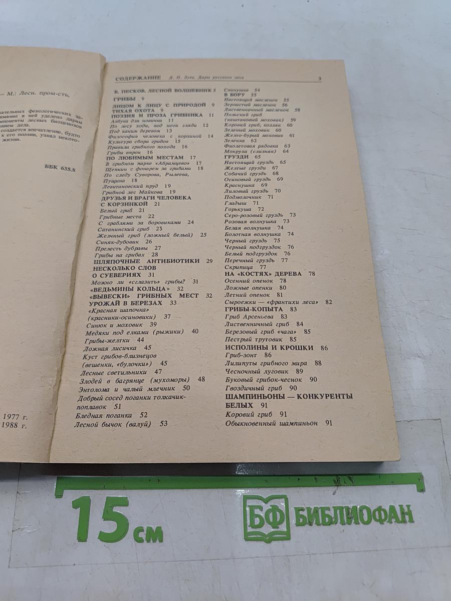 Дары русского леса