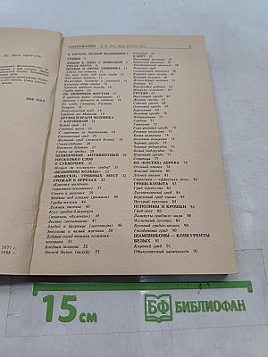 Дары русского леса