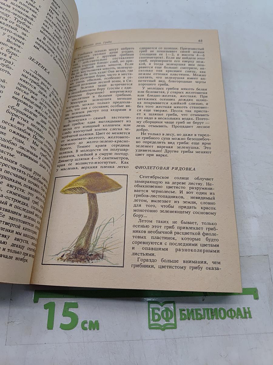 Дары русского леса