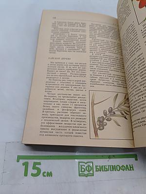 Дары русского леса
