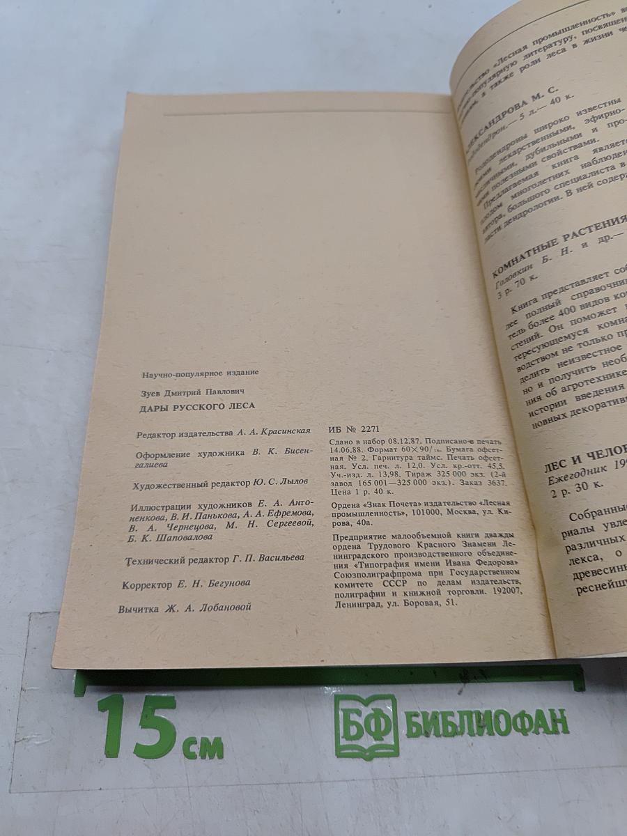 Дары русского леса