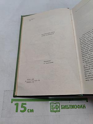 Роман Межгорья