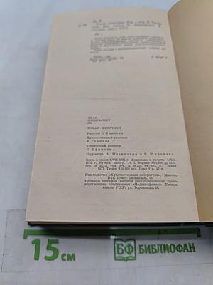 Роман Межгорья