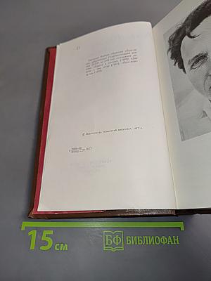 Пряслины