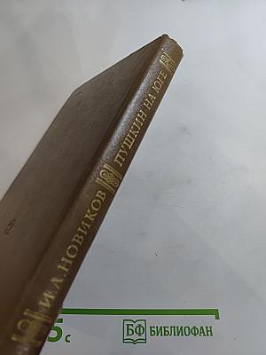 Пушкин на Юге