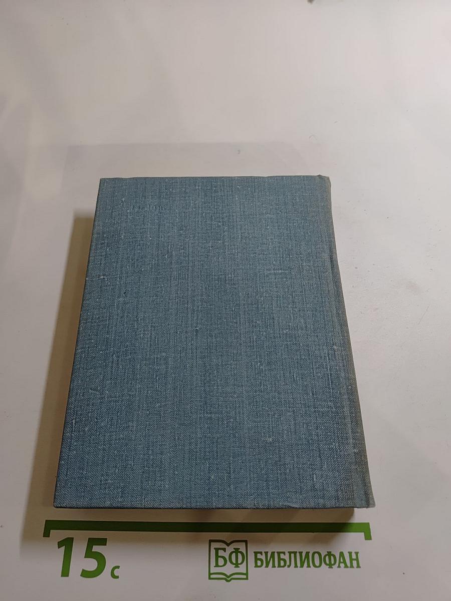 Домой. Все только начинается. Дорога вся белая