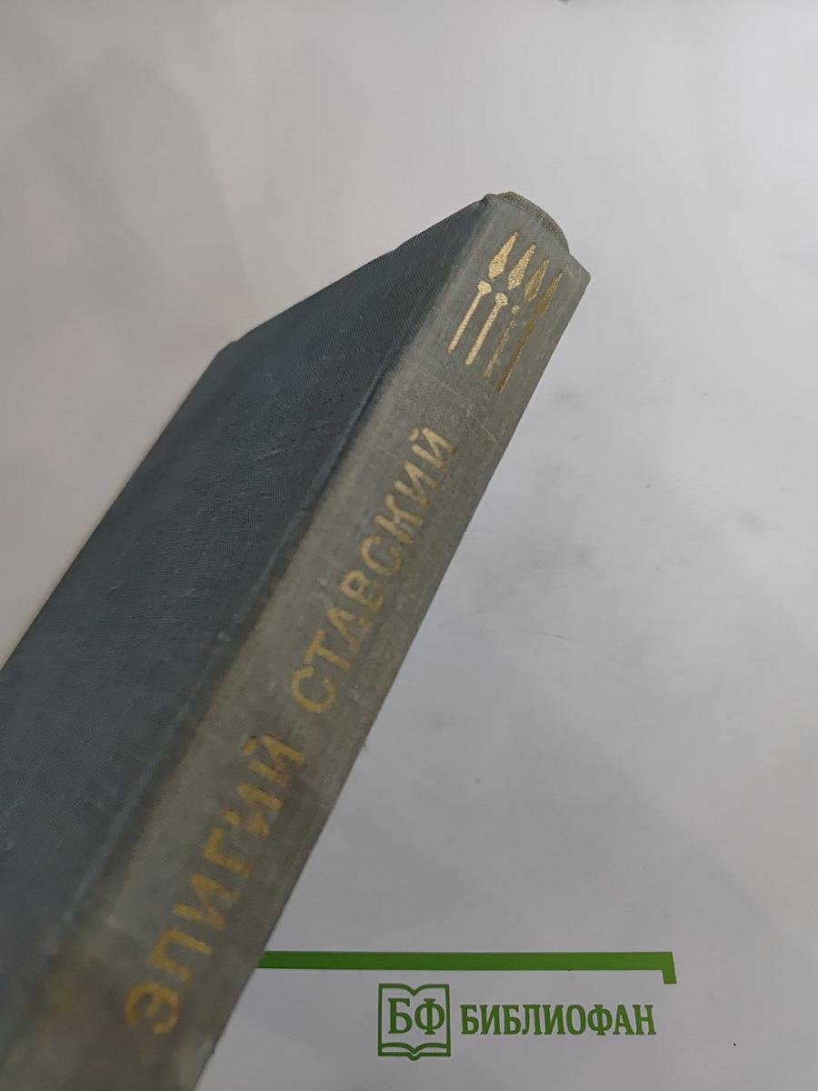 Домой. Все только начинается. Дорога вся белая