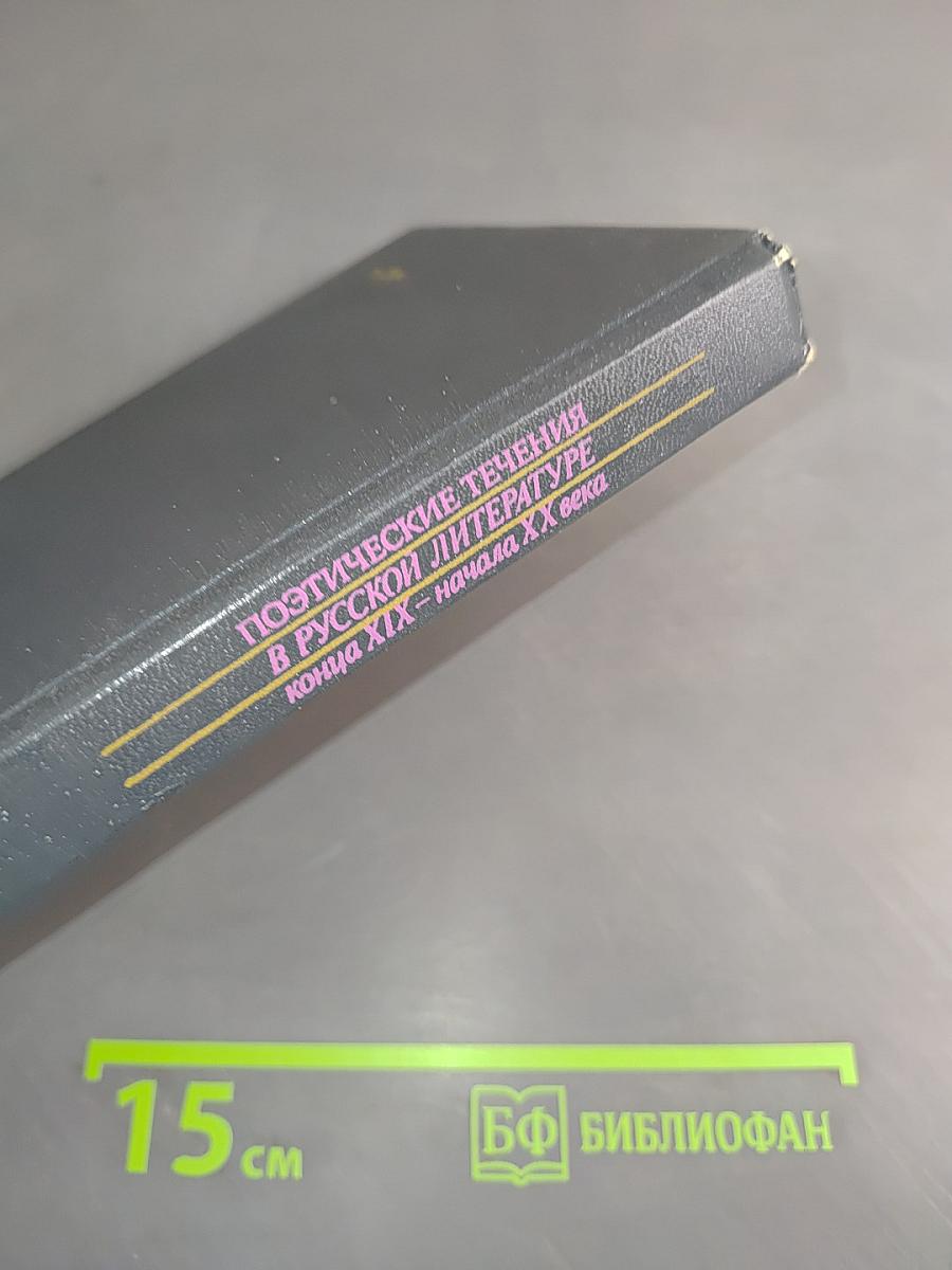 Поэтические течения в русской литературе конца XIX – начала XX века. Хрестоматия