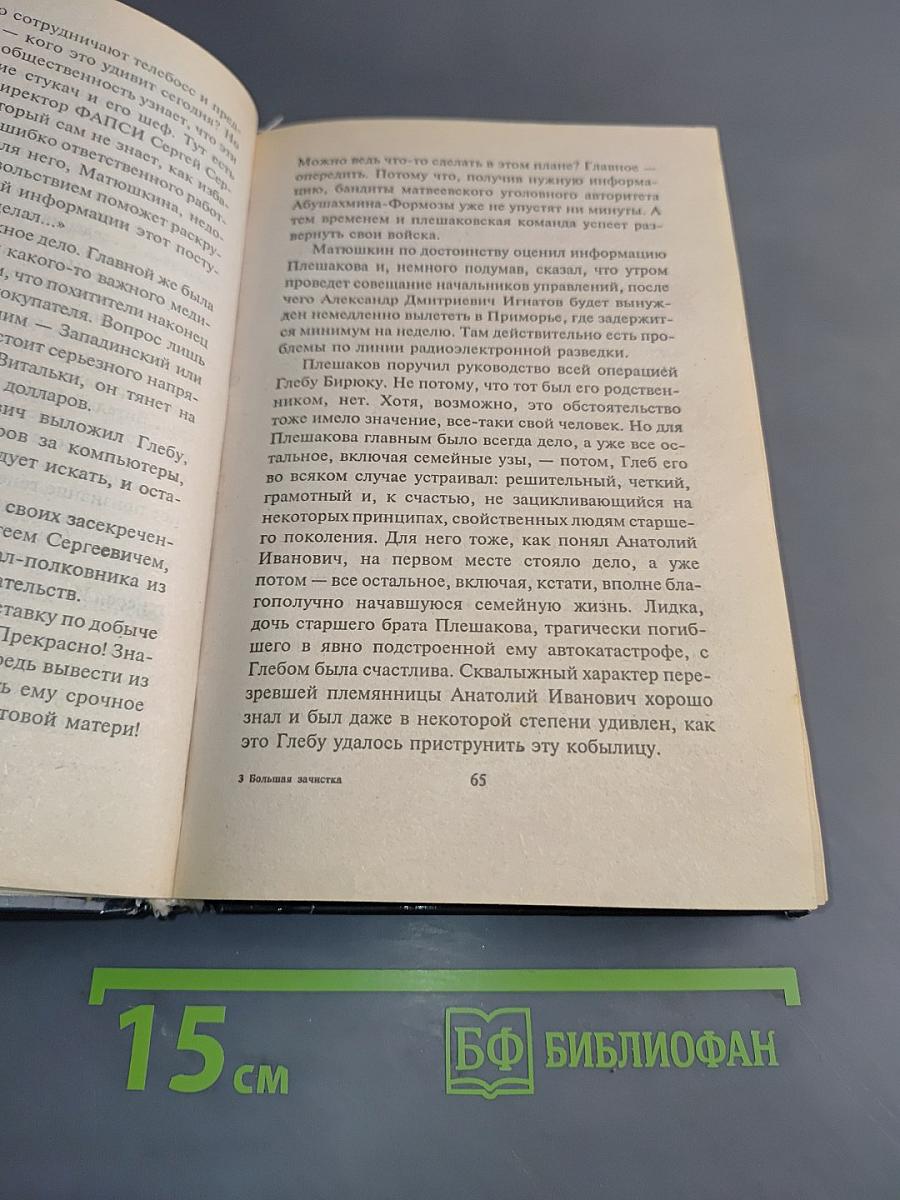Большая зачистка