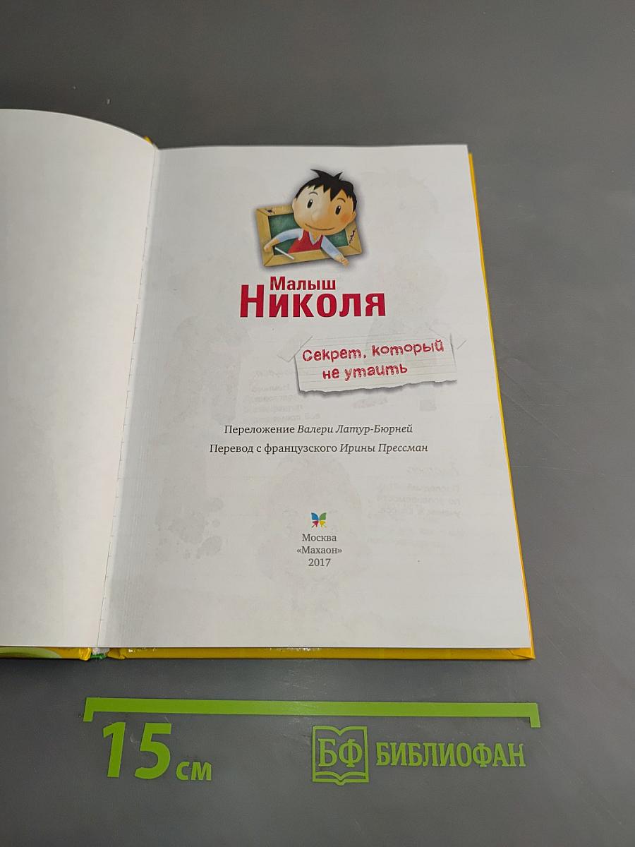 Малыш Николя. Секрет, который не утаить